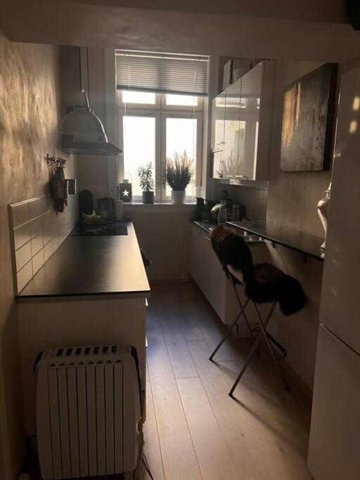 Royal Neighbourhood Elegant Flat In Central אוסלו מראה חיצוני תמונה