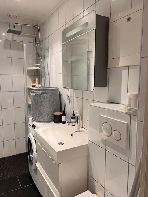 Royal Neighbourhood Elegant Flat In Central אוסלו מראה חיצוני תמונה